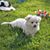 Susanne Cheney's profile image