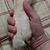 Brenda Gibson- Pasqualetti's profile image