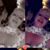 Ami Bee's profile image