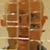 Sean Ziebarth's profile image