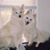 Lynn Lehman's profile image