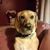 Louise White McMillan Jackson's profile image