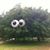Dawn Andren's profile image