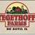 David Tegethoff's profile image
