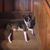 Betty Smith's profile image
