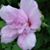 Linda Scott's profile image