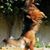 Susan Caillouet's profile image