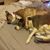 Sue Stier List's profile image