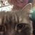 Jena Rogers's profile image