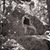 Kimberly Ann Chester's profile image