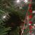 Cristy Baker Neel's profile image