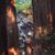 Audrey Newmont's profile image