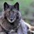 Brenda Spears's profile image