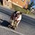 Paula Schrader's profile image