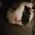 Calli Boucher Ivester's profile image