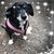 Adrienne Lydon's profile image