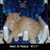 Teena Williams's profile image