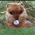 Stacy George Fry's profile image