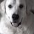 Christine Franco Fiore's profile image