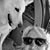 Tina Williams Caldwell's profile image