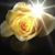 Daniella Richardson's profile image