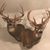 Bob Sisler's profile image