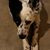 Vivian Marie Thornton's profile image