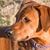 Brian Coutermarsh's profile image