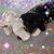 Dawn Komar's profile image