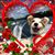 Dee Hills-moore's profile image