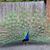 Elizabeth Hagen's profile image