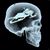 Shane Mahieu's profile image