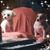 Kandy Kay's profile image