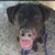 Tiffany Gusho's profile image