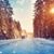 Lynn Staab's profile image