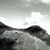 Shahin Sainu's profile image