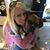 Kimberley Szecsodi Butler's profile image