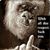 Terry Lyle's profile image