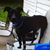 Kathy Loftus Arend's profile image