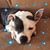 Jodi Lynn Wilkinson's profile image