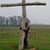 Ruth Ashley Moore's profile image