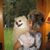 Jane DeSautel's profile image