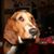 Phil Cardinale's profile image