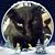 KimBerly Waddell's profile image