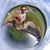 Steve Loko's profile image