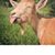 Lori Panarello's profile image