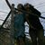 Coleen Finelli's profile image
