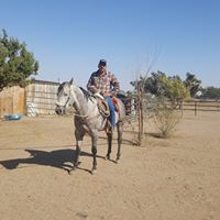 Horacio Arteaga's profile image