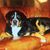 Eric Unger's profile image