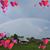 Hope Rojas's profile image